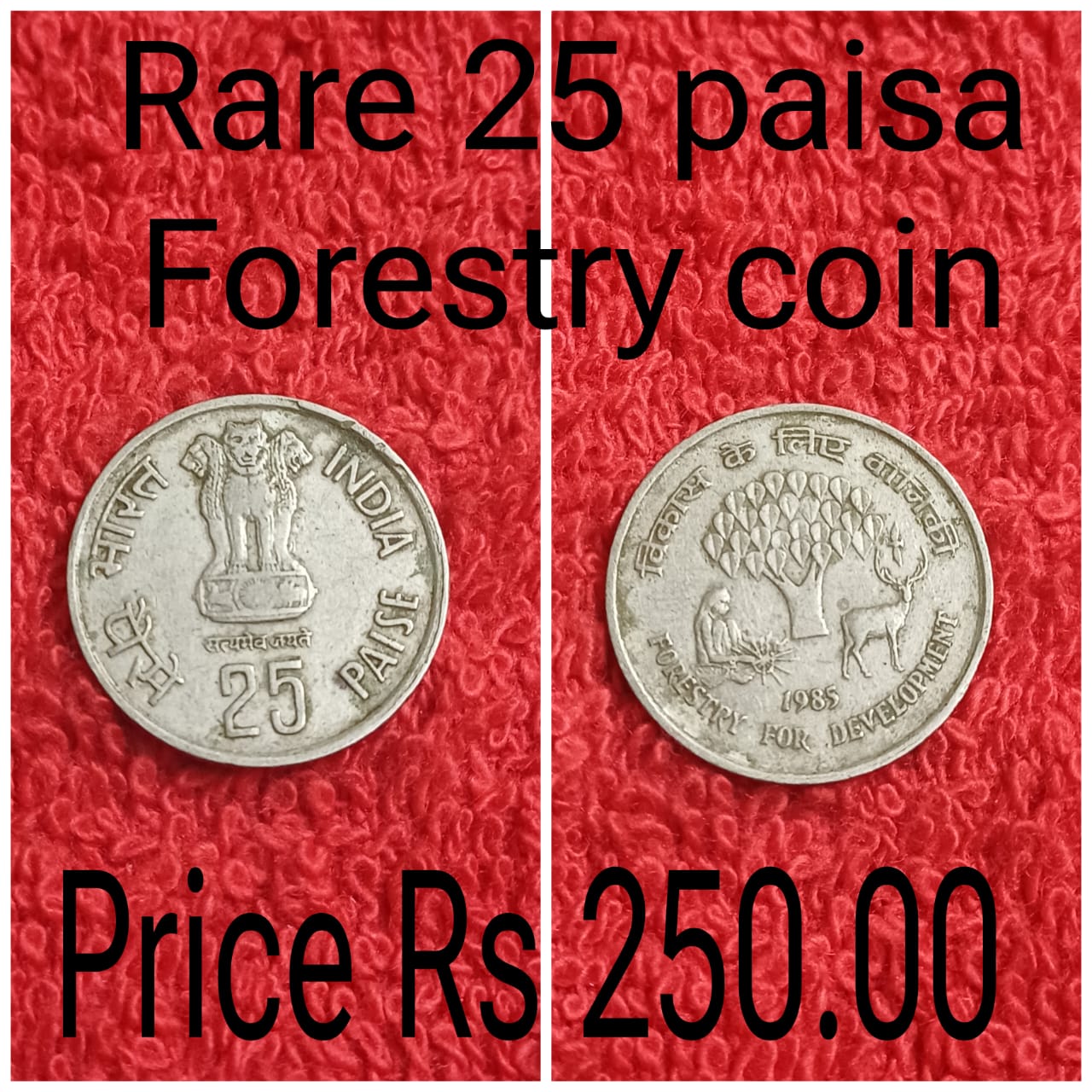 25 paisa forestry coin