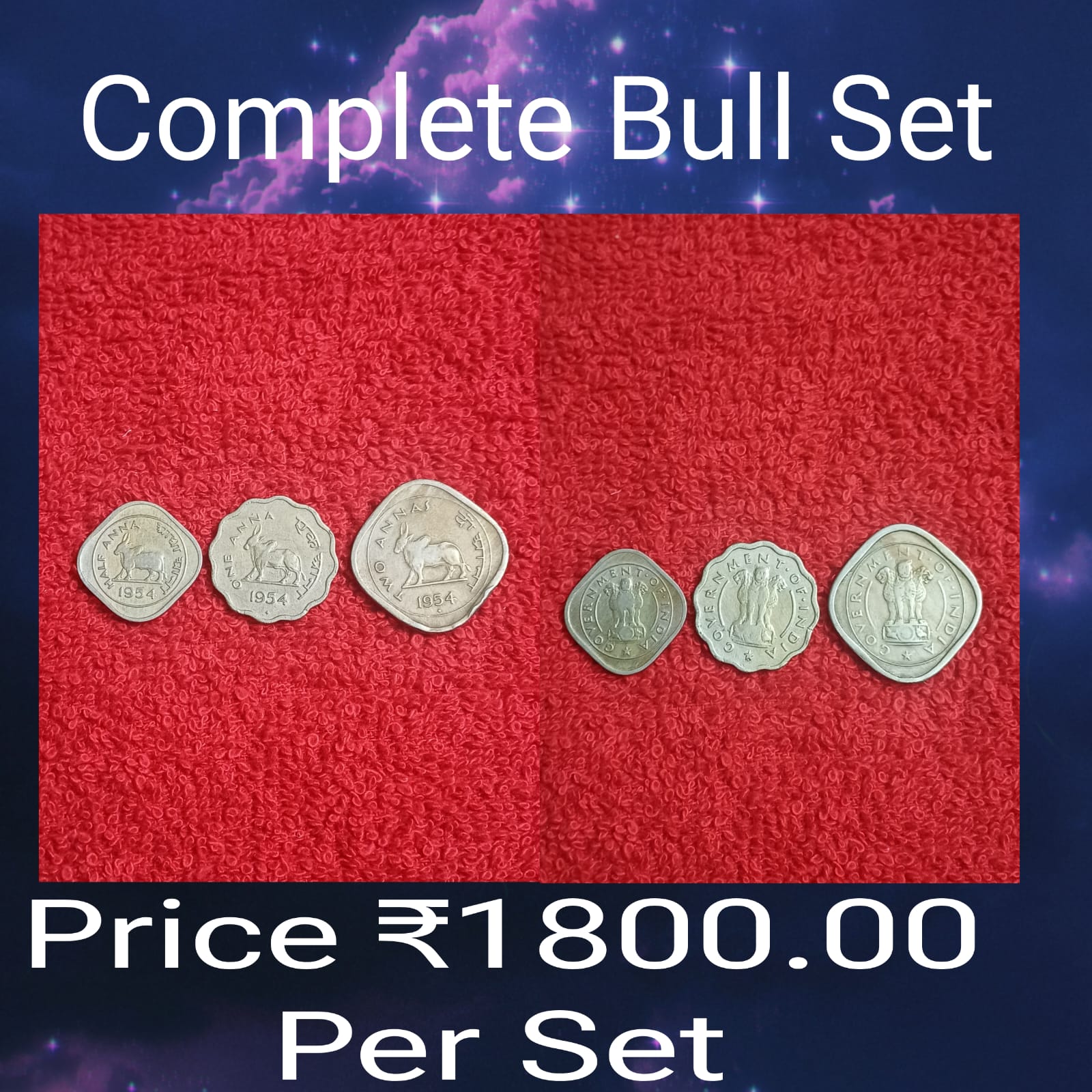 compelte set of bull coin