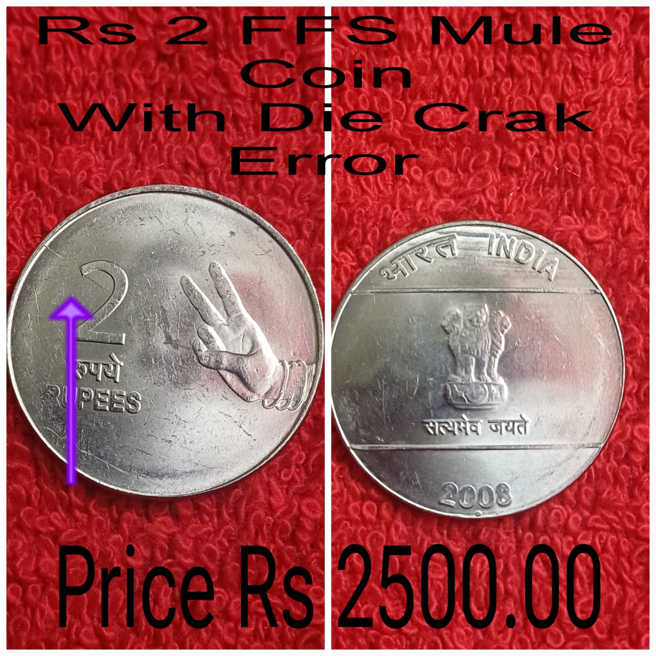 rs 2 mule coin