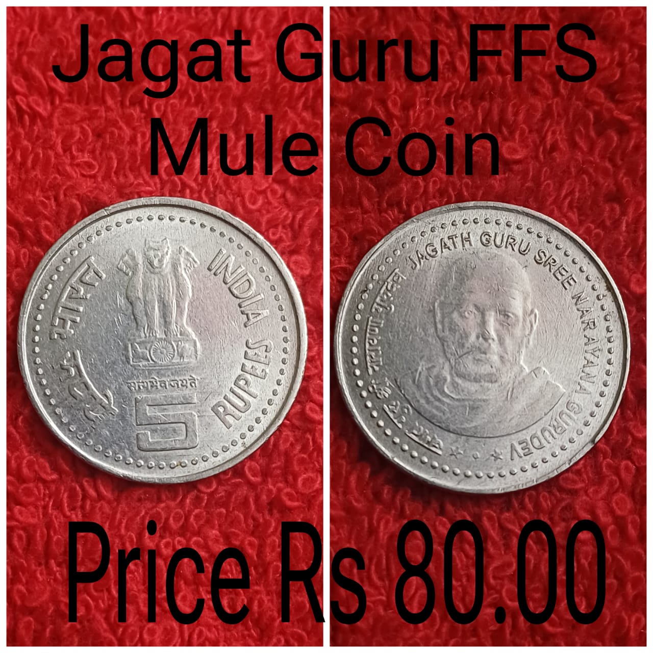 rs 5 ffs jagat guru mule